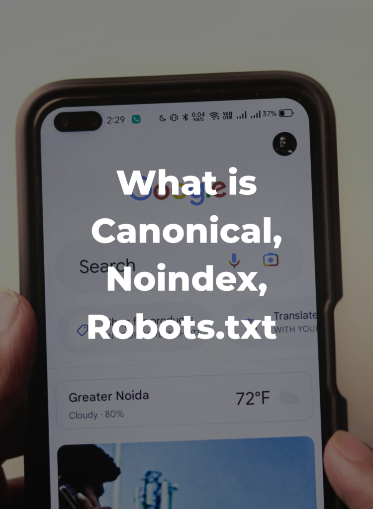 What is Canonical, Noindex, Robots.txt